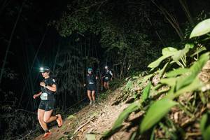 BIB: 
                            <button type="button" onclick="openModal(28117250)" class="btn btn-primary btn-sm float-right btn-popup" data-toggle="modal" data-target=".modal-high-quality">
                        <i class="fas fa-shopping-cart"></i> Add to Cart
                    </button>
                                            <button type="button" onclick="isThisMe(28117250, true)" class="btn btn-success btn-sm float-right btn-popup btn-isme hidden" data-toggle="tooltip" data-placement="bottom" title="นี่คือรูปของคุณใช่ไหม คลิกที่นี่เพื่อเอาเข้าอัลบั้ม">
                        <i class="fas fa-plus"></i> Add to album
                    </button>
                    <button type="button" onclick="isThisMe(28117250, false)" class="btn btn-warning btn-sm float-right btn-popup btn-isnotme hidden">
                        <i class="fas fa-ban"></i> Remove from album
                    </button>